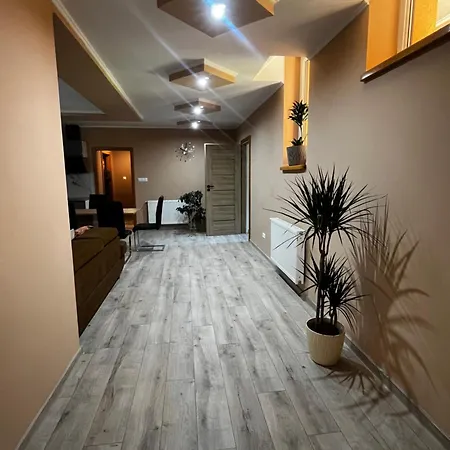 Apartament U Rzezbiarza 公寓 *